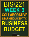 BIS/221 Business Budget